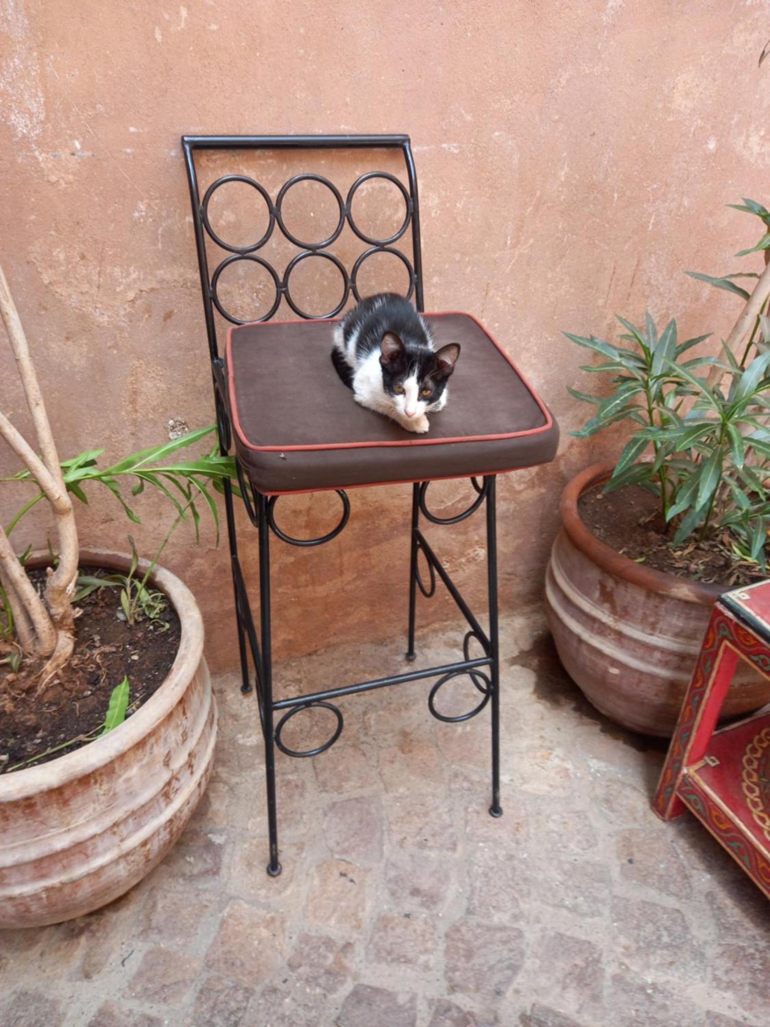Juli'S Bed & Breakfast Marrakesh Luaran gambar